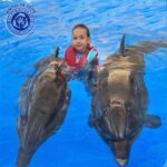 21186f2b-e44a-46fa-8b1b-aedde3188bd1